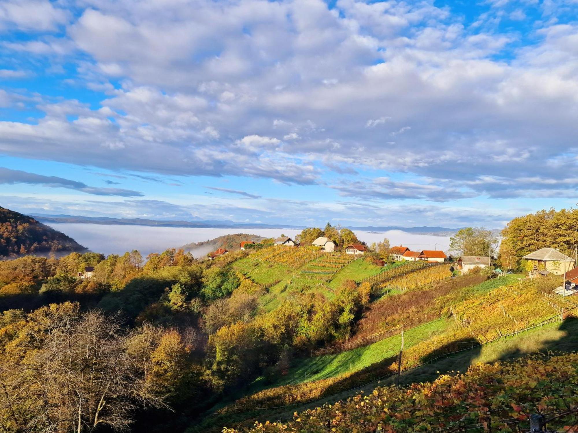 Vineyard Cottage Soncni Gric Trebnje Exterior photo
